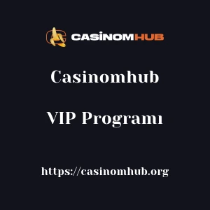 Casinomhub VIP Programı